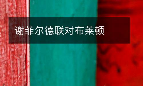 謝菲爾德聯(lián)對布萊頓