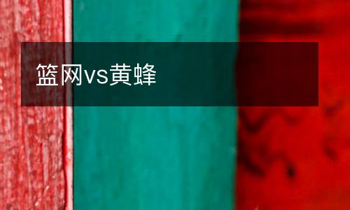 籃網(wǎng)vs黃蜂