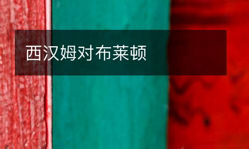 西漢姆對布萊頓