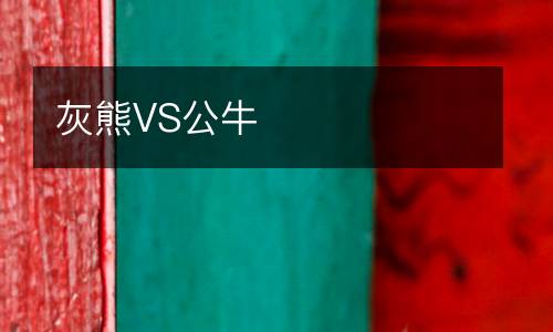 灰熊VS公牛