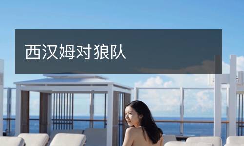 西漢姆對(duì)狼隊(duì)