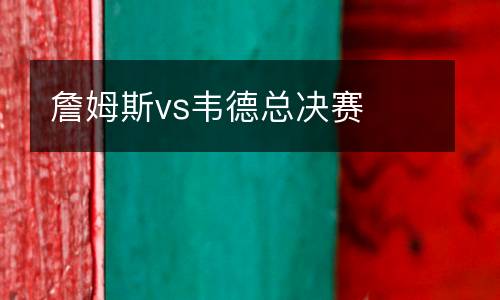 詹姆斯vs韋德總決賽