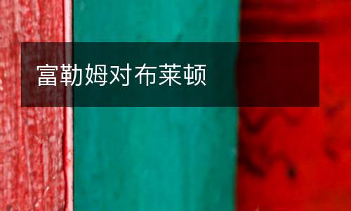 富勒姆對布萊頓
